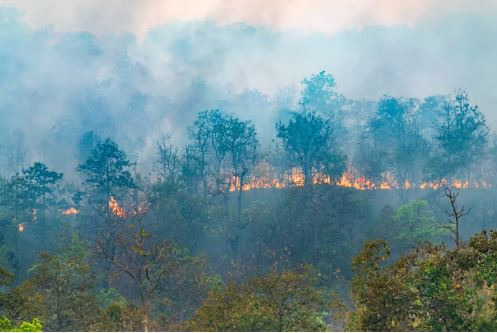 Crisis medio ambiente en Colombia