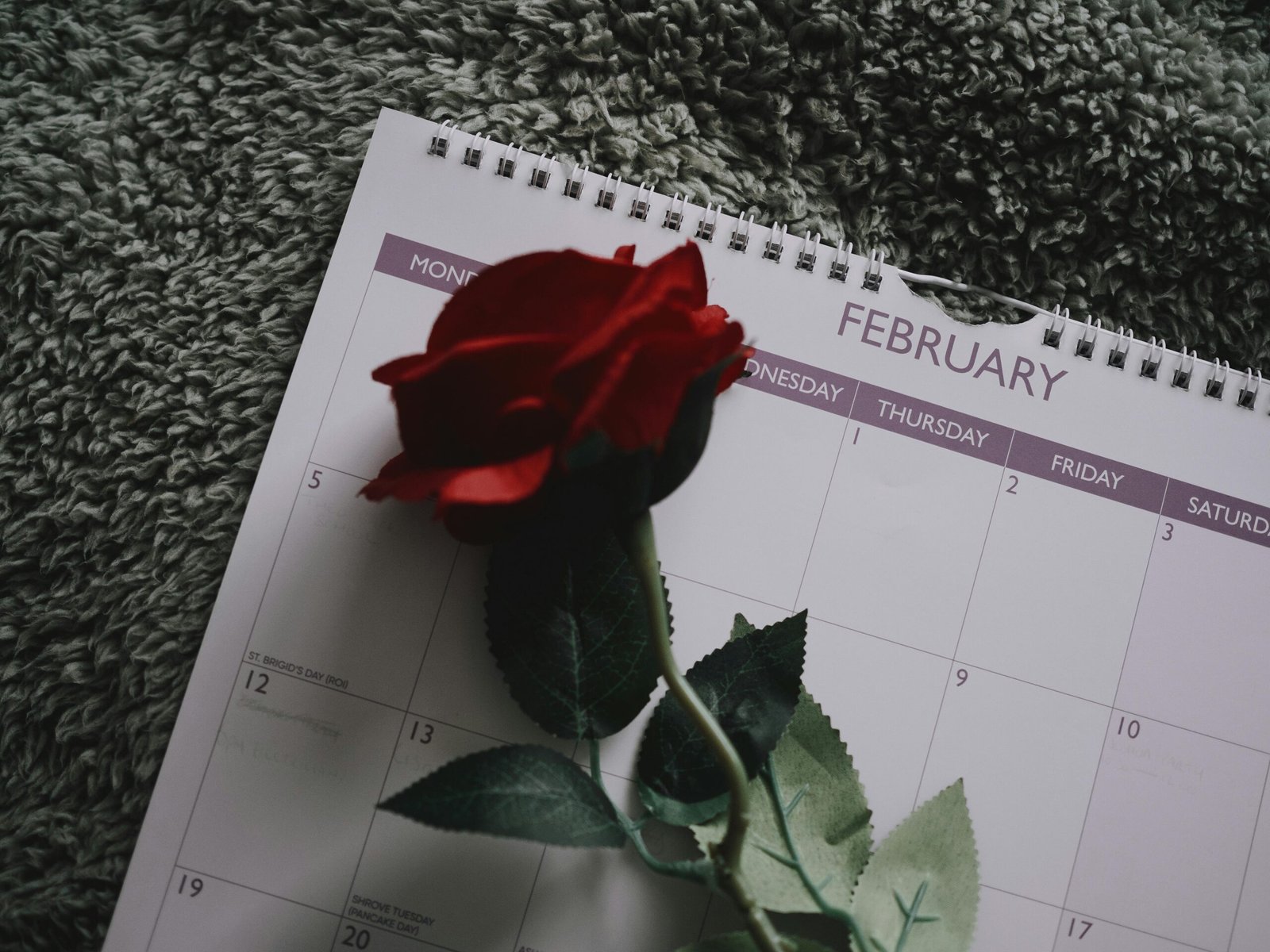Cada 14 de febrero, el aire se llena de romance y afecto, marcando la celebración del Día de San Valentín. Pero, ¿alguna vez te has preguntado por qué esta fecha específica fue escogida para celebrar el amor? En esta ocasión te contaremos la fascinante historia detrás del 14 de febrero y cómo esta fecha se convirtió en un símbolo universal del amor.